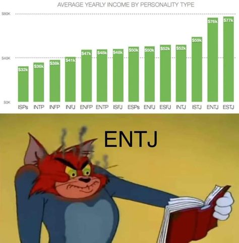 Entj And Istj, Entj Men Aesthetic, Entj Funny, Entj Vibes, Entj Quotes, Entj X Infp, Entj Memes, Entj Humor, Entj Estj