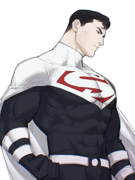 Lord Superman, Ashe League Of Legends, Batman Redesign, Superman X Batman, Superman X, Venom Comics, Superman Family, Batman Wonder Woman, Dc Comics Heroes