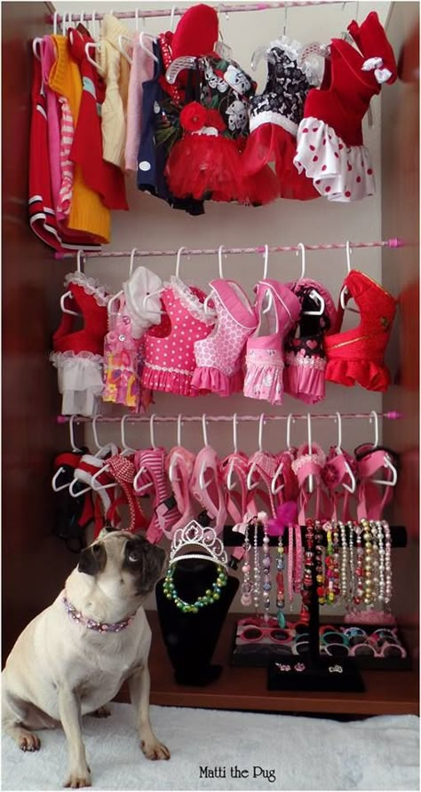 If only Meg had that closet in the motor home. She would be one happy camper. Dog Closet, Dog Bedroom, Puppy Room, Pugs And Kisses, Pug Pictures, Dog Rooms, Pet Fashion, Puppy Clothes, Pug Lover