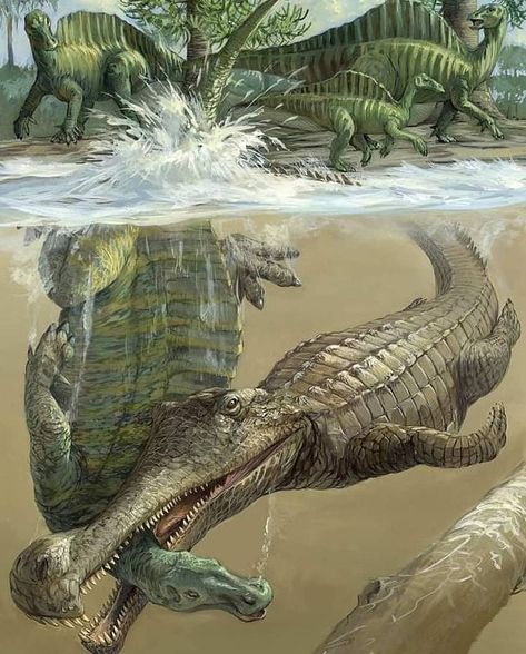 Dinosaur on Instagram: “Sarcosuchus . art by: M. Rothman” Prehistoric Animals Dinosaurs, Prehistoric Wildlife, Prehistoric Dinosaurs, Dinosaur Pictures, Dinosaur Illustration, Prehistoric World, Jurassic World Dinosaurs, Ark Survival Evolved, Ancient Animals