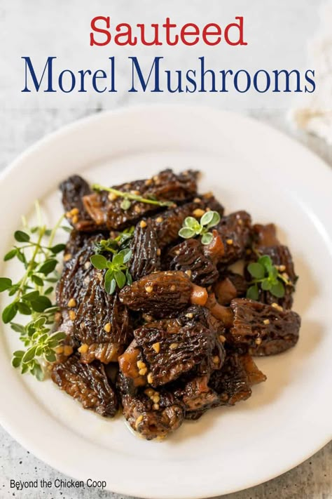 Sauteed Morel Mushrooms How To Cook Morel Mushrooms, Morels Mushrooms Recipes, Cooking Morel Mushrooms, Mushroom Sauteed, Frozen Mushrooms, Morel Recipes, Morel Mushroom Recipes, Mushrooms Sauteed, Wild Mushroom Recipes