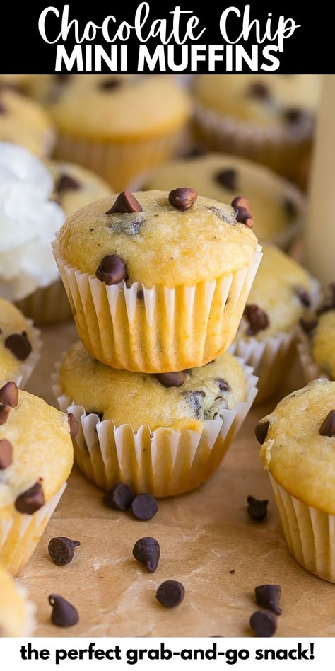 Mini Chocolate Chip Muffins (Little Bites Copycat Recipe) Holiday Mini Muffins, Homemade Chocolate Chip Muffins, Mini Muffin Tin Recipes, Mini Muffin Recipe, Mini Chocolate Chip Muffins, Chocolate Chip Muffin, Chocolate Chip Cupcakes, Chocolate Chip Muffin Recipe, Homemade Chocolate Chips