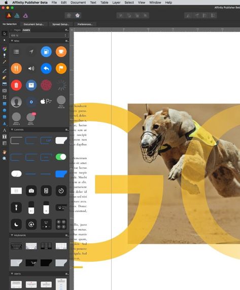 Affinity Publisher: Your Guide to InDesign’s New Rival Affinity Publisher Tutorial, Affinity Publisher, Ipad Tutorials, Graphic Design Brochure, Design Basics, Affinity Photo, Affinity Designer, Illustrator Tutorials, Digital Resources