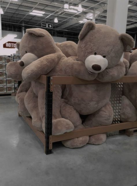 bear dark aesthetic inspo life sized teddy Life Sized Teddy, Teddy Bear Aesthetic, Bear Aesthetic, Old Teddy Bears, Aesthetic Dark, Life Size, Teddy Bears, Dark Aesthetic, Bears