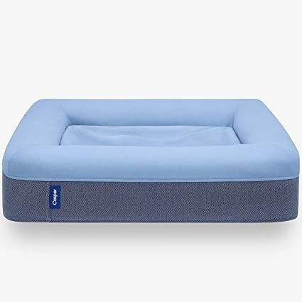 Casper Dog Bed, Plush Memory Foam, Medium, Blue/Latest Product Views Dog Bed, Plush Memory Foam#dogbeds #dogbed #dogsofinstagram #dogs #dog #doglovers #doglife #pets #petbeds #dogstagram #petbed #doglover #dogbedswithstyle #puppy #petsofinstagram #dogaccessories #petsupplies #catbed #catbeds #dogtoys #dogoftheday #pet #uniquedogbeds #cats #puppylove #petshop #dogclothes #shoplocal #instadog #ilovemydog Casper Bed, Unique Dog Beds, Dog Crate Pads, Online Pet Store, Memory Foam Dog Bed, Pet Sofa, Dog Needs, Cool Dog Beds, Orthopedic Dog Bed