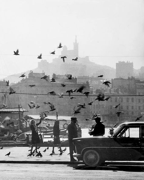 The Shadow Of The Wind, Willy Ronis, On The Shoulders Of Giants, French Photography, Romantic Paris, Henri Cartier Bresson, Night Pictures, Bnw Photography, French Photographers