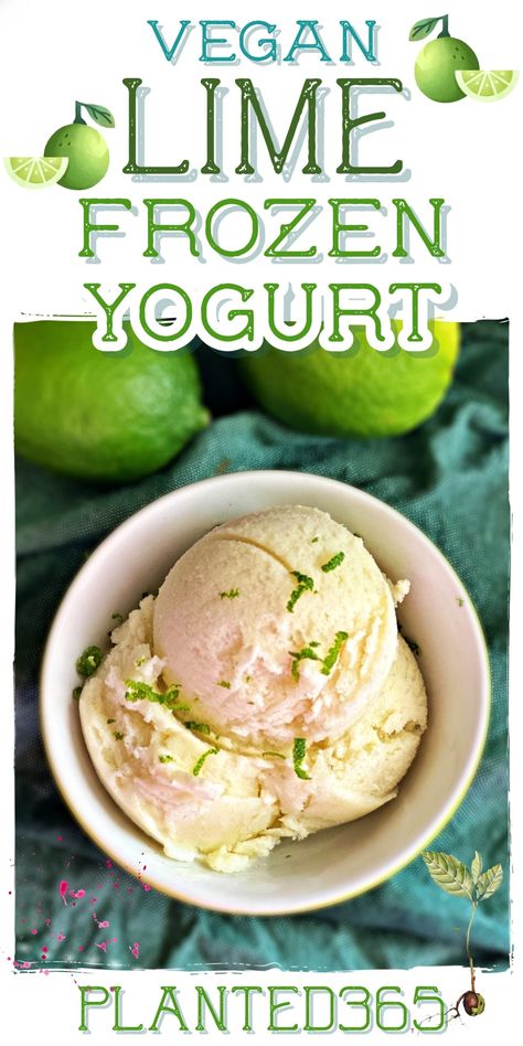 Vegan Lime Frozen Yogurt in the Ninja Creami Delicious Plant Based Ice Cream from Planted365 PIN IT Ninja Creami Tart Frozen Yogurt Recipe, Ninja Creami Frozen Yogurt Recipes Healthy, Tart Frozen Yogurt Recipe, Plant Based Ice Cream, Frozen Yogurt Recipe Healthy, Ice Cream Maker Recipes Healthy, Key Lime Yogurt, Ninja Creamy, Yogurt Mousse