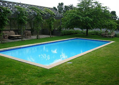 Rectangle Pool love the grass and arbor with creeping vibe. Rectangle Pool, Backyard Trampoline, Pool Shapes, Rectangular Pool, Easy Landscaping, Traditional Landscape, Swimming Pools Backyard, Swimming Pool Designs, Landscape Projects