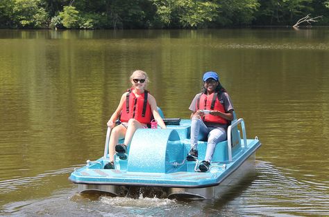 When you want to check out the beach and the lake from on the water you can rent a paddle boat at the dock next to the swimming beach at Bear Creek Lake State Park, Va Cabin Fun, Paddle Boats, Lake Activities, Duck Boat, Ski Rental, Small Sailboats, Florida Life, Lake Time, Beach Items