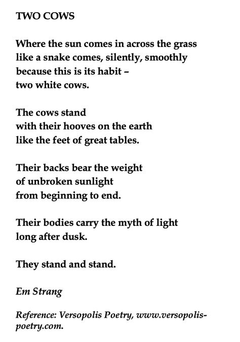 Em Strang, Two Cows💞🌍🌎🌏💞Reference: Versopolis Poetry, www. versopolis- poetry. com. If you think copyright is broken in this pin, please get in touch and it will either be removed or a citation will be added as required. Thanks for reading. Cows Reference, Extended Metaphor, Two Cows, Relatable Thoughts, W B Yeats, The Jets, Lovely Words, White Cow, Cow Art