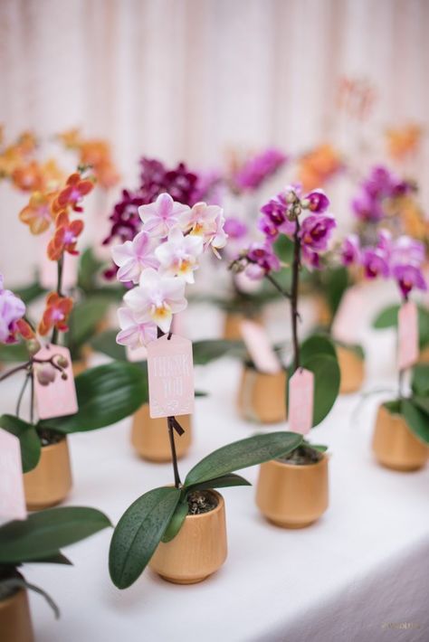 WedLuxe Magazine If the Shoe Fits Orchid Centerpieces Wedding, Wildflower Favors, Wedding Favours Luxury, If The Shoe Fits, Seed Wedding Favors, Gold Wedding Colors, Elegant Wedding Favors, Bridal Shower Inspiration, Orchid Wedding