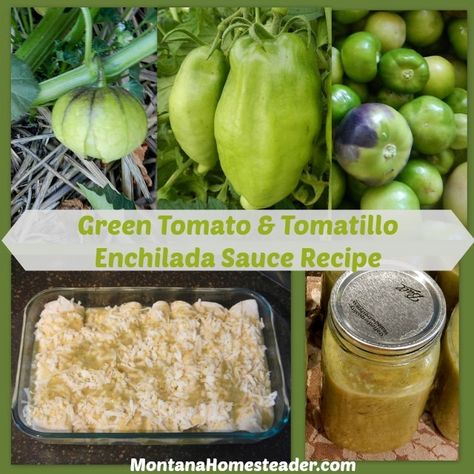 Green Tomato and Tomatillo Enchilada Sauce Recipe Canning Recipes For Tomatillos, Green Tomato Enchilada Sauce Recipe, Fresh Tomato Enchilada Sauce, Tomatillo Recipes For Canning, Canning Green Enchilada Sauce, Green Enchilada Sauce Canning Recipe, Recipes Using Tomatillos, Recipes With Tomatillos, Green Tomato Enchilada Sauce