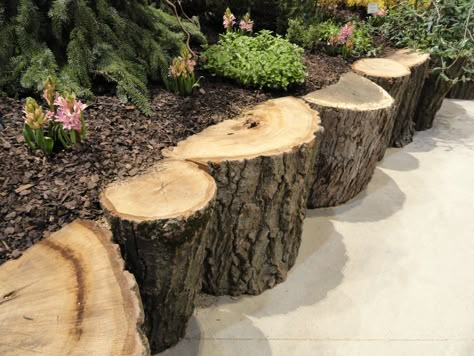 Tree Raised Bed, Log Flower Bed Edging, Log Raised Garden Beds, Log Garden Edging, Building A Raised Bed, Inexpensive Raised Garden Beds, Build A Raised Garden Bed, Raised Garden Bed Ideas, Garden Bed Ideas