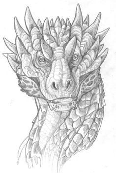 Inspired by @aimeeelizabeth19's "Ruby" series! This is the first boo… #fanfiction #Fanfiction #amreading #books #wattpad Dragon Faces Sketches, Dragon Face Sketch, Dragon Face Drawing, Dragon Faces, Sketch Dragon, Drawing Baby, Reference Ideas, Dragon Face, Drawing Face