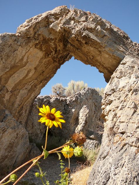 Utah Utah Red Rocks, Creator God, Purple Mountain Majesty, Visit Utah, Utah Travel, Cabin Camping, Desert Painting, Happy Trails, With Mom