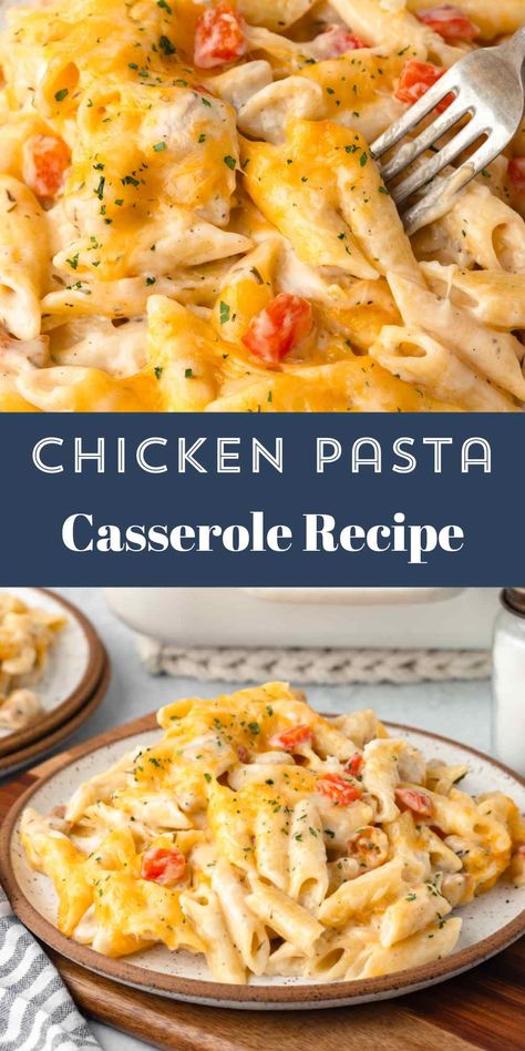 Chicken Pasta Casserole Chicken Pasta Recipes Casseroles, Chicken And Pasta Casseroles, Healthy Chicken Pasta Casserole, Creamy Chicken Pasta Casserole, Rotisserie Chicken Casserole Recipes Healthy, Easy Chicken Casserole Recipes Pasta, Chicken Hot Dish Recipes, Chicken And Pasta Casserole Recipes, Easy Casserole Recipes For Dinner Chicken Pasta Bake