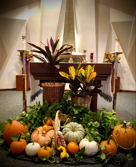 I designed this at the altar of my church for fall/thanksgiving Thanksgiving Altar Decorations, Fall Stage Decorations Church, Fall Decor For Church Sanctuary, Church Thanksgiving Decorations, Fall Church Decorations Sanctuary, Church Altar Decor, Church Altar Table For All Saints Day, Thansgiving Church Table, Fall Church Decorations