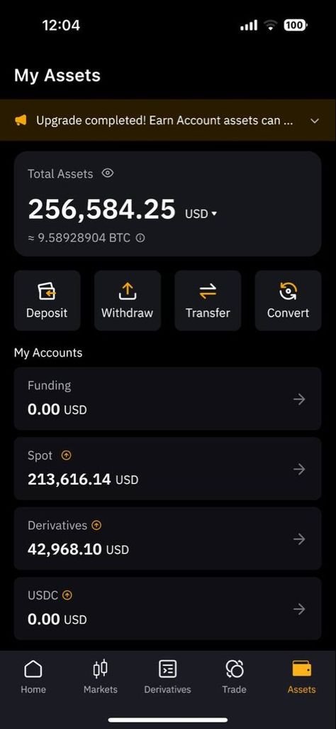 Binance Crypto Trading, Crypto Money Aesthetic, Crypto Account Balance, Trading Account Balance, Bitcoin Account Balance, Binance Wallet Balance, Money In Account, Btc Format For Client, Business Checks 2023