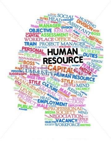 HR the Human element Human Resources Management Aesthetic, Hr Resources, Human Resource Management Templates, Human Resources Quotes, Human Resources Humor, Human Resources Career, Human Resources Office, Hr Humor, Human Resources Jobs