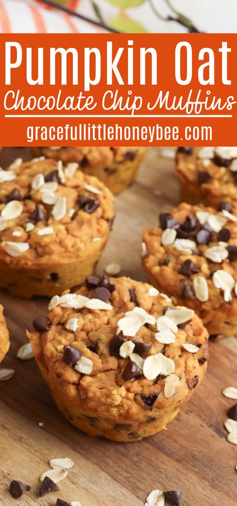 Oat Pumpkin Muffins, Oat Chocolate Chip Muffins, Pumpkin Oat Muffins, Healthy Dessert Options, Freezer Cooking Recipes, Pumpkin Oats, Pumpkin Spice Recipe, Pumpkin Recipe, Oat Muffins