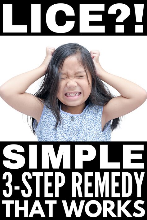 Lice Remedies How To Get Rid Of Home, Lice Removal Home Remedies, How To Get Rid Of Lice Naturally, How To Get Rid Of Lice, Lice Remedies How To Get Rid Of, How To Get Rid Of Lice Fast, How Long Do Lice Live On Furniture, Getting Rid Of Lice Fast, Diy Lice Spray For Furniture