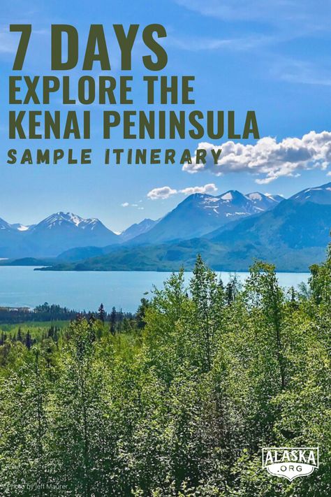 Dri­ve Alaska’s most scenic high­ways through moun­tain pass­es and along the coast, stop­ping in charm­ing sea­side towns along the way with this 7-day sample itinerary! https://www.alaska.org/trip-ideas/7-day/explore-the-kenai-peninsula #kenaipeninsula #kenai #anchorage #anchoragealaska #anchorageak #girdwood #girdwoodalaska #seward #sewardalaska #kenaifjords #homer #homeralaska #cooperlanding #visitalaska #alaskavacation #tripplanning #tripplanner #travelalaska #alaskatravel #alaska2022 Alaska Itinerary, Girdwood Alaska, Alaska Road Trip, Alaska Map, Seward Alaska, Kenai Fjords National Park, Alaska Trip, Kenai Peninsula, Alaska Wildlife