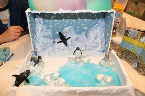 Artic Walrus Diorama, Tundra Diorama, Tundra Project, Ecosystem Project, Biome Project, Penguins Project, Arctic Habitat, Biomes Project, Diorama Project