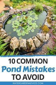 Ponds Backyard Waterfall, Small Fish Pond, Fish Ponds Backyard, Small Backyard Ponds, Diy Ponds Backyard, Ponds For Small Gardens, Fish Pond Gardens, Backyard Ponds, Patio Pond