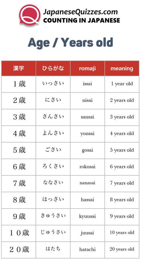 Phrases Japanese, Japanese Honorifics, Japanese Idioms, Japanese Flashcards, Language Notes, Japanese Core, Japanese Verbs, Learn Japan, Speak Japanese