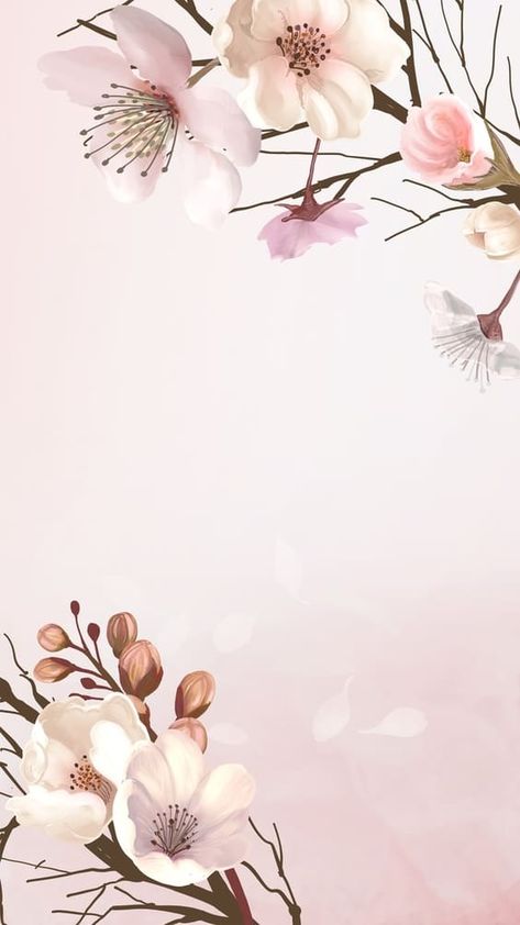 Elegant white flowers on a soft pink background wallpaper. Aesthetic Flower Wallpapers, Whats Wallpaper, Rose Sketch, نباتات منزلية, Wallpaper Homescreen, Pink Wallpaper Backgrounds, Frame Floral, Flower Wallpapers, Hand Painted Wallpaper