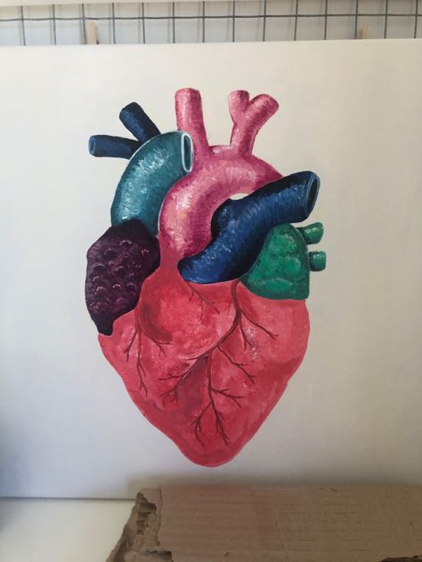 Human Heart Canvas Painting, Real Heart Painting On Canvas, Heart Anatomy Painting, Painting Of Human Heart, Human Heart Drawing Color, Human Heart Painting On Canvas, Anatomy Painting Acrylic, Real Heart Anatomy, Real Heart Painting