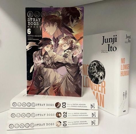 Bsd Manga Collection, Manga Shelving, Manga Shelves, Anime Room Ideas, Anime Rooms, Manga Shelf, Japan Icon, Beach Sunset Wallpaper, Manga Aesthetic