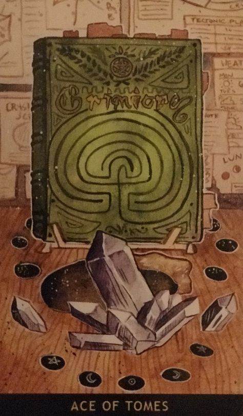 New Moon Intentions, Tarot By Cecelia, Moon Intentions, Annular Solar Eclipse, Ace Of Pentacles, Monday December, Online Tarot, Pentacles, December 23