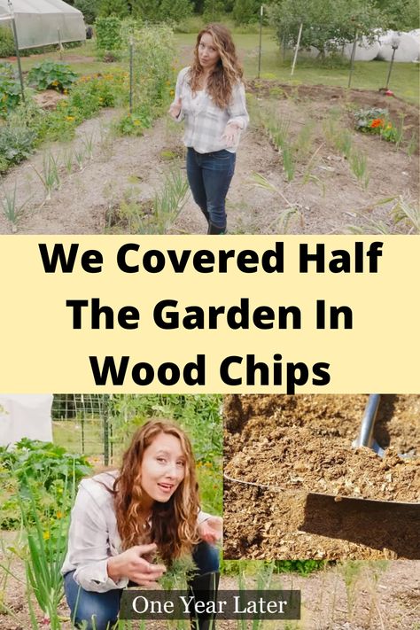 Gardening Ideas | Homesteading Skills | Grow Your Own Food | Self Sufficient Living | Melissa K. Norris - Modern Homesteading #homesteading #gardening Backyard Homestead Ideas, Self Sustaining Garden, Melissa Norris, Survival Homestead, Self Sufficient Living, Homestead Garden Layout, Melissa K Norris, Homesteading Family, Back To Eden