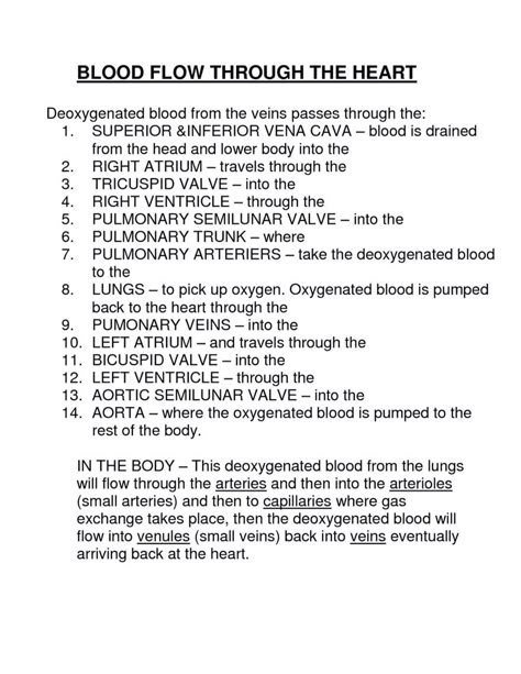 Blood flow thru the ❤️ Blood Flow Through The Heart, Psalms 139, Nursing Information, Cardiac Nursing, Florida Water, Nursing School Survival, Nursing School Studying, Nursing School Tips, Medical School Studying