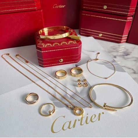 Cartier Love Collection, Gucci Pink, Fancy Jewelry Necklace, Pretty Jewelry Necklaces, Expensive Jewelry Luxury, Cartier Jewelry, Luxury Purses, Jewelry Fashion Trends, Classy Jewelry