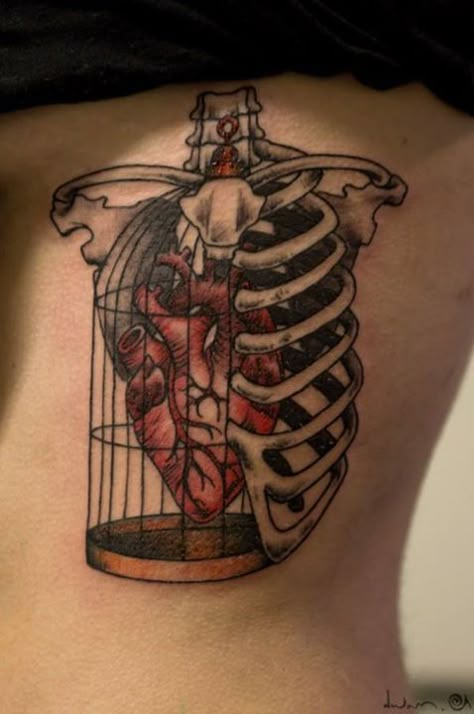 Perfect all in one Birdcage Tattoo, Rad Tattoos, Cage Tattoos, Anatomical Heart Tattoo, Sticker Tattoo, Ribcage Tattoo, Geniale Tattoos, Human Canvas, Healthy Heart