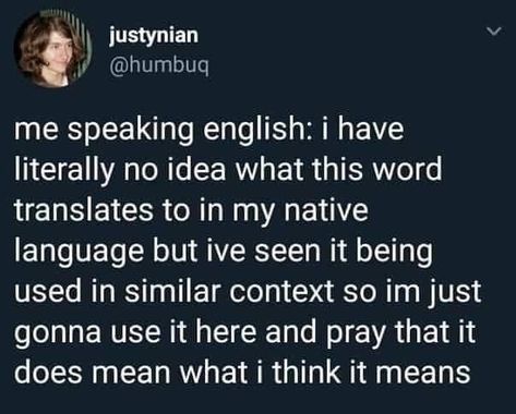 Bilingual Humor, Native Language, Bad Puns, Funny Comments, Funny Meme, Whatsapp Group, Tumblr Posts, Perm, Tumblr Funny