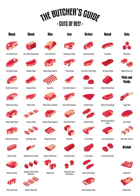 how much meat is half a cow and beef cuts Cuts Of Meat Chart, Beef Cuts Chart Butcher Shop, Best Meat Cow Breeds, Meat Cow Breeds, Cow Meat Chart, Cow Butcher Chart, Beef Cuts Recipes, Half Cow Meat, Cow Meat Recipes