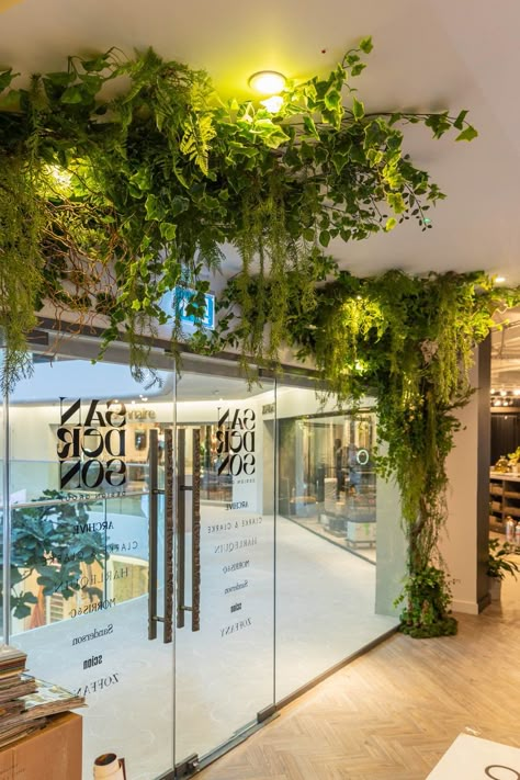 Floral decor solutions Dog Daycare Design, Jungle Decorations, Plant Installation, Furniture Fix, Retail Inspiration, Flower Installation, Handmade Plant, Spa Design, Spa Room