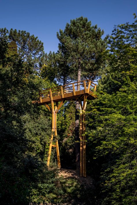 Treetop Walk Serralves - CARLOS CASTANHEIRA ARCHITECTS Canopy Walkway, Cork Tree, Steel Bridge, Tree Canopy, Pedestrian Bridge, Walkway, Black Bird, A Walk, Ecology