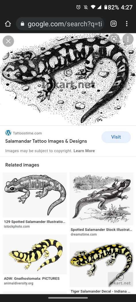 Tiger Salamander Tattoo, Salamander Tattoo, Tiger Salamander, Salamanders, Cover Up Tattoo, Tattoo Images, Image Design, Tattoo Ideas, Sketch Book