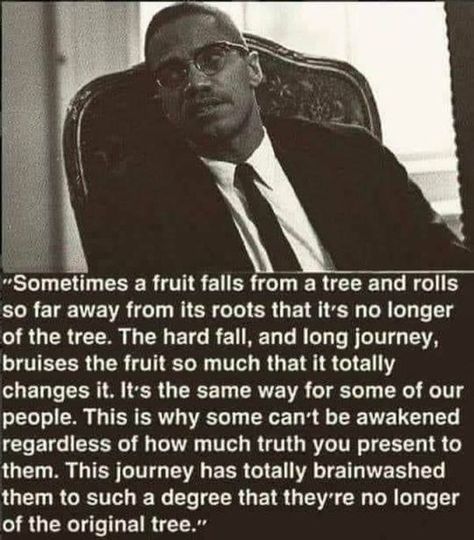 Malcolm X Quotes, Black Facts, Dance Therapy, African History Truths, Kemetic Spirituality, Black Empowerment, Babylon The Great, Black Heritage, Quotes Black