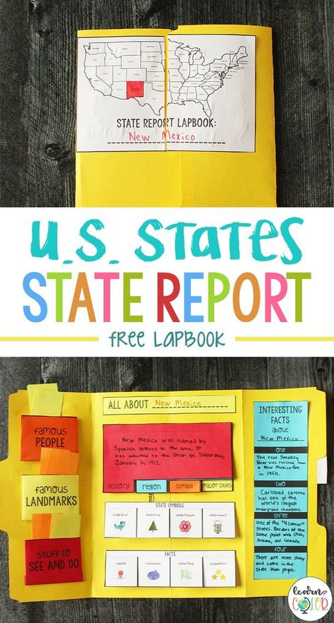 My State Project, State Projects For Kids 5th Grades, State Research Project, State Symbols Project, State Project Ideas, State Report Projects, Homeschool Lapbooks, 50 States Activities, Usa Geography