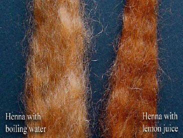 Henna Hair Dye Red, Blonde Henna, Red Henna Hair, Long Hair Community, Henna Hair Dye, Brown Henna, Henna Hair Color, Make Hair Thicker, Red Henna