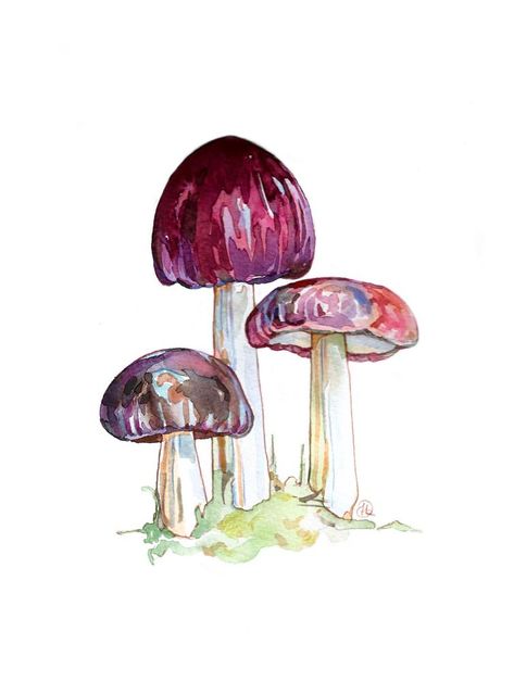 Watercolor Stream, Cement Mushrooms, Vegetables Watercolor, Mushroom Watercolor, Fungi Illustration, Watercolor Party, Mushroom Paint, Abstract Watercolor Landscape, Watercolor Flowers Tutorial