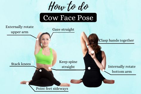 Cowface Pose Yoga, Cow Face Pose Yoga, Gomukhasana Pose, Yoga For Golfers, Sitting Yoga, Sitting Yoga Poses, Arm Yoga, Cow Face Pose, Face Pose