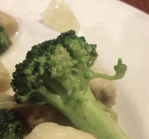 meme of a broccoli Broccoli