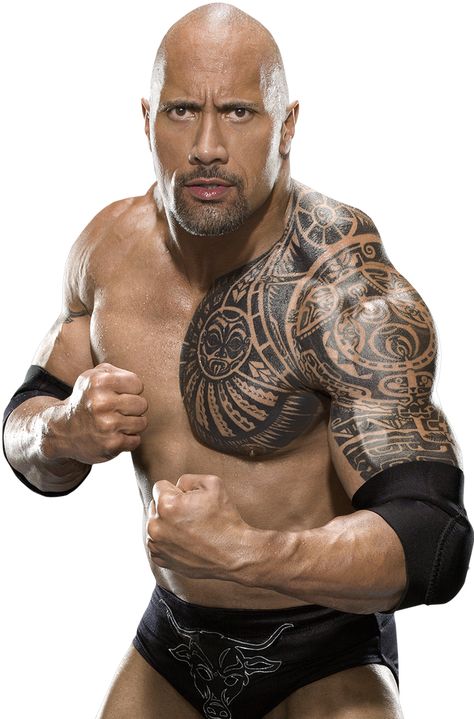 Hugh Jackman Shirtless, Lion Sleeve, Jacob Collins, Wwe The Rock, Lights Png, Geometric Sleeve Tattoo, Rock Dwayne Johnson, Rock Tattoo, Wwe Superstar Roman Reigns