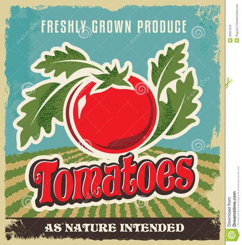 free graphics   vintage retro family   farmers  | Retro tomato vintage advertising poster - Metal sign and label design ... Vintage Fruit Crate Label, Fruit Crate Label, Advertising Graphics, Fruit Crate, Crate Label, Vintage Advertising Posters, Free Graphics, Vintage Advertising, Advertising Poster